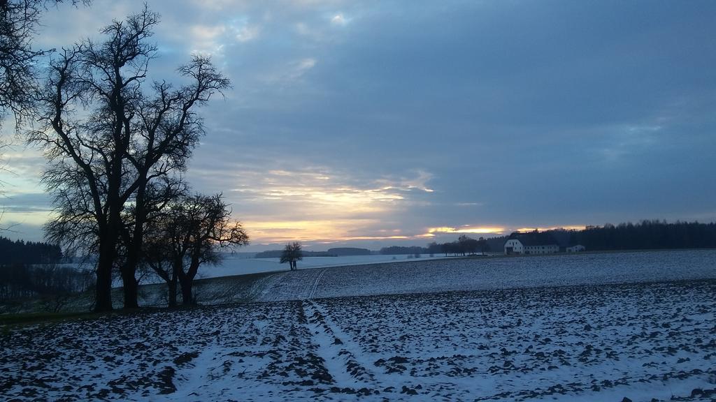 Pension Weinbauer Hofkirchen im Traunkreis Zewnętrze zdjęcie