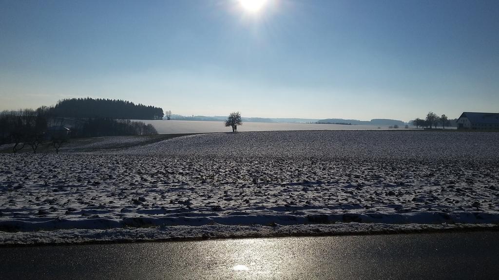 Pension Weinbauer Hofkirchen im Traunkreis Zewnętrze zdjęcie